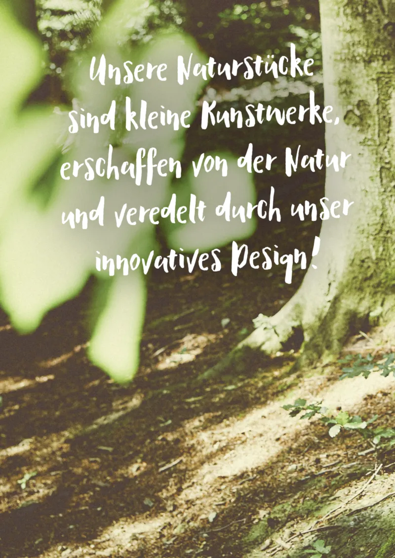 HARDECK Prospekt vom 24.11.2025, Seite 2