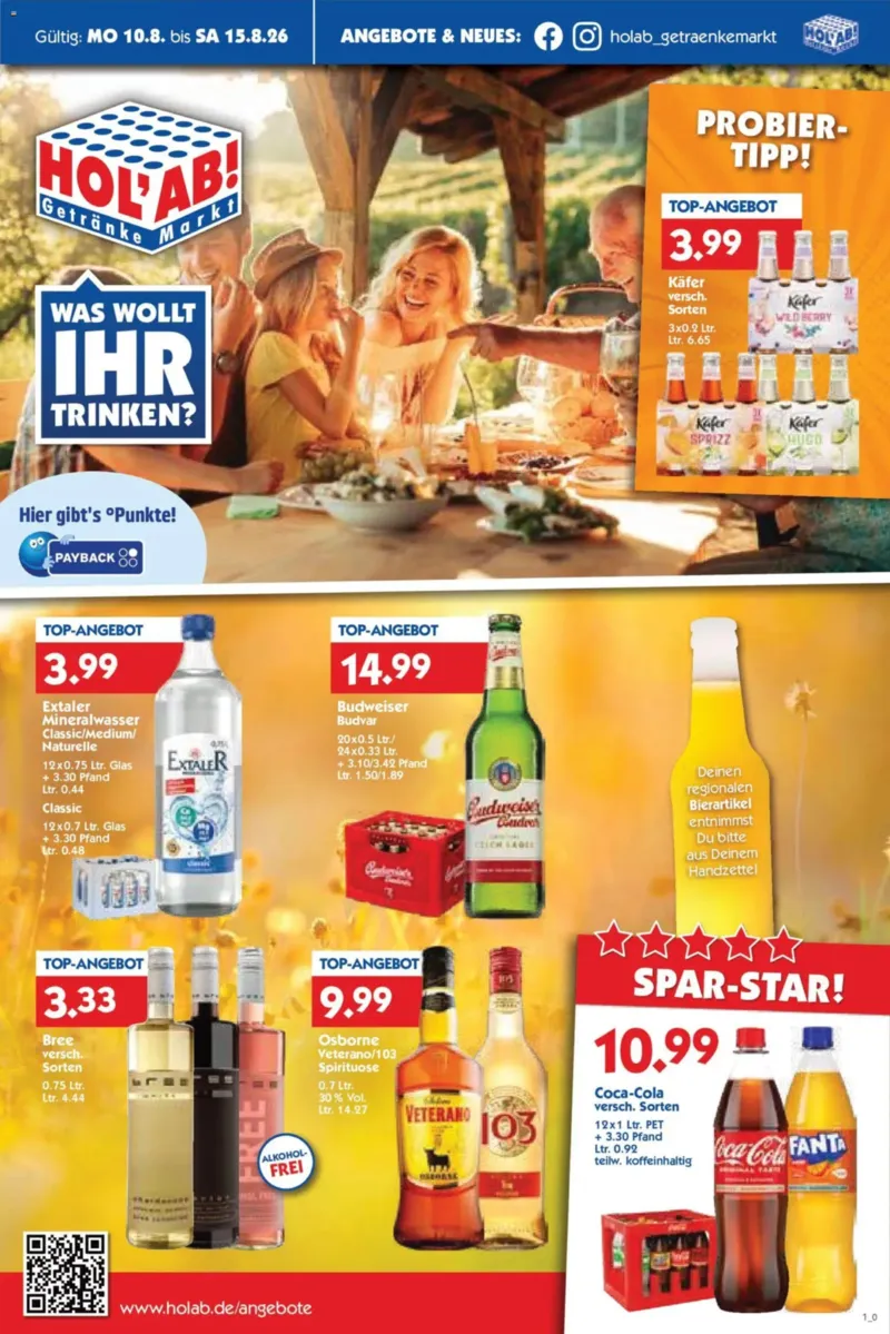 HOL'AB Prospekt vom 10.08.2026, Seite 1