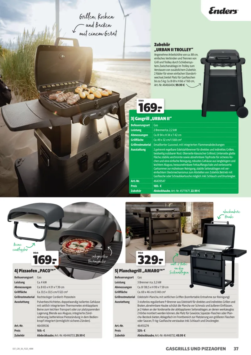 Hagebau Prospekt vom 01.03.2025, Seite 37