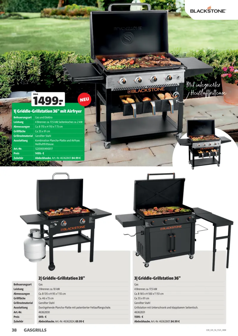 Hagebau Prospekt vom 01.03.2025, Seite 38