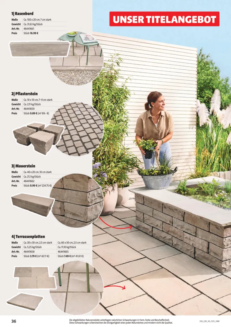 Hagebau Prospekt vom 02.03.2025, Seite 36