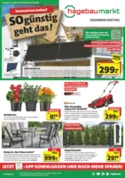 Hagebau Prospekt vom 10.05.2025