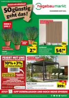 Hagebau Prospekt vom 05.07.2025