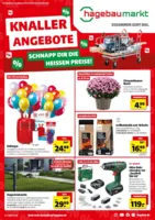 Hagebau Prospekt vom 02.08.2025