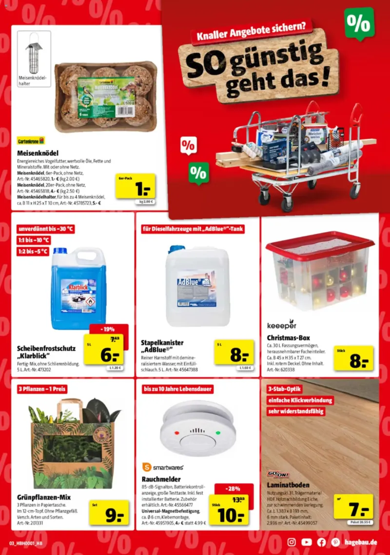 Hagebau Prospekt vom 03.01.2026, Seite 3