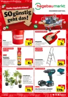 Hagebau Prospekt vom 03.01.2026