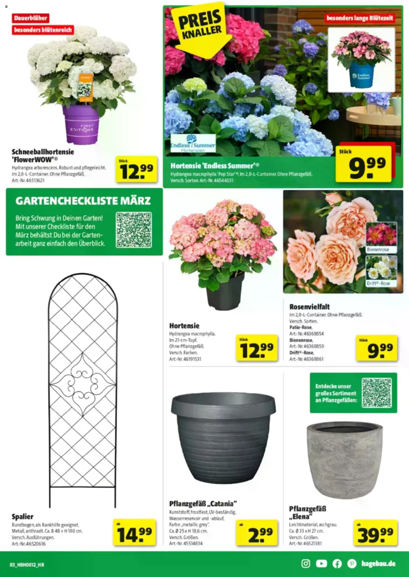 Hagebau Prospekt vom 14.03.2026, Seite 3