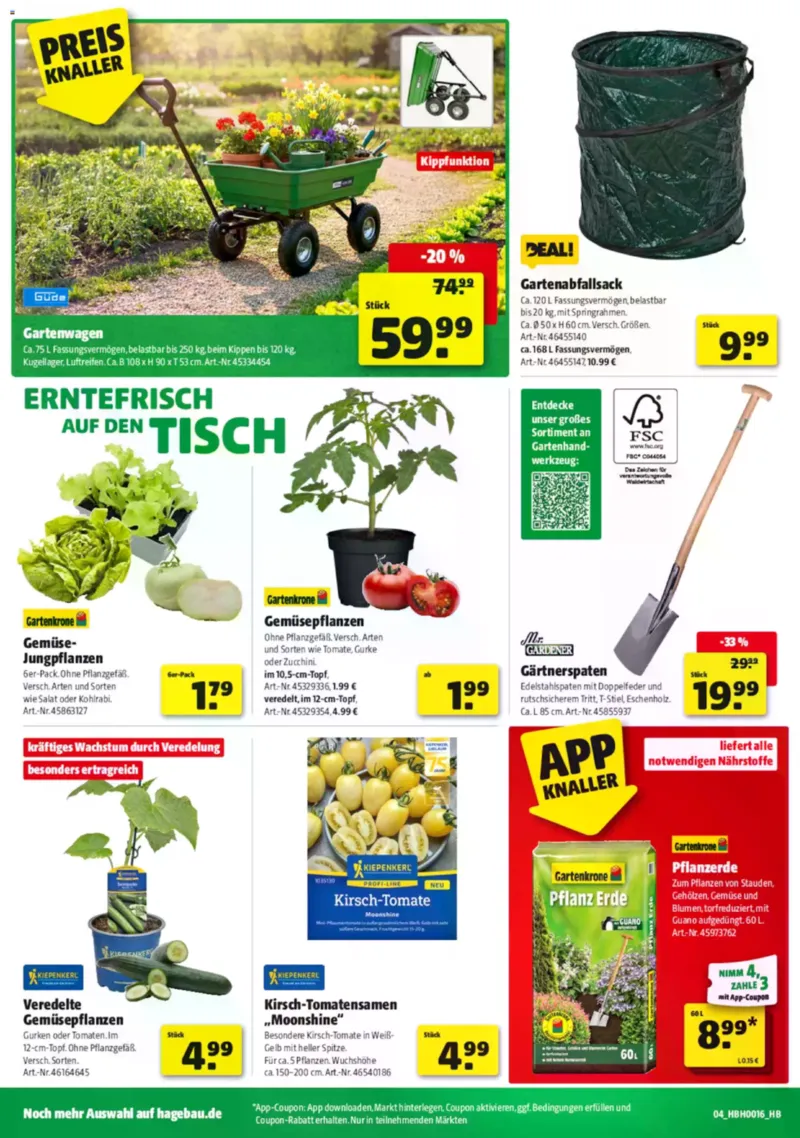 Hagebau Prospekt vom 11.04.2026, Seite 4