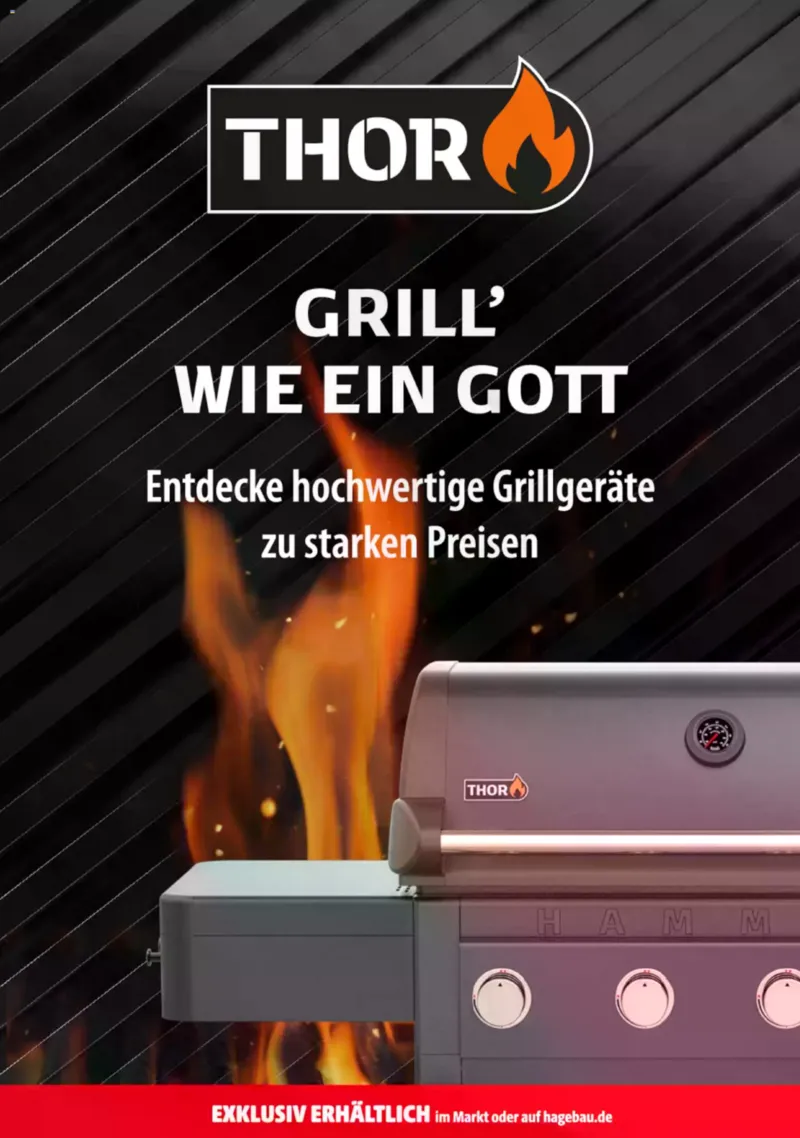 Hagebau Prospekt vom 06.06.2026, Seite 17