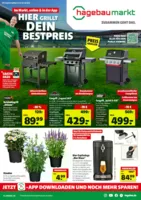 Hagebau Prospekt vom 06.06.2026