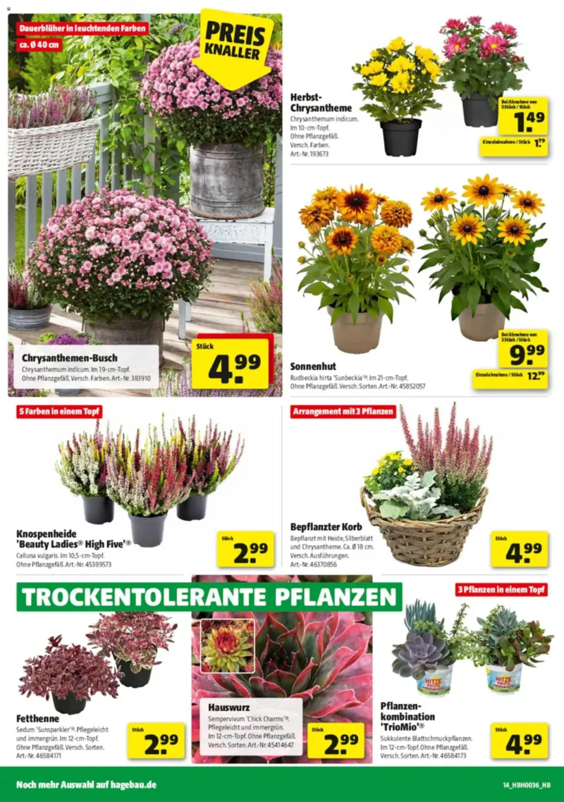 Hagebau Prospekt vom 29.08.2026, Seite 22