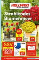 Hellweg Prospekt vom 04.08.2025