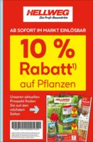 Hellweg Prospekt vom 08.09.2025