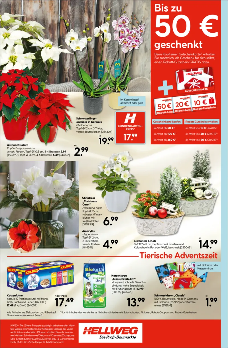 Hellweg Prospekt vom 08.12.2025, Seite 8