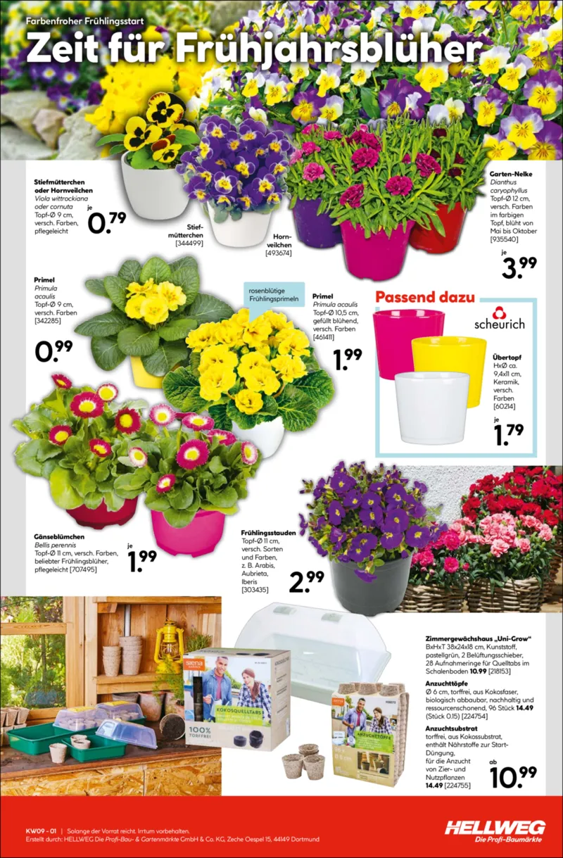 Hellweg Prospekt vom 23.02.2026, Seite 15