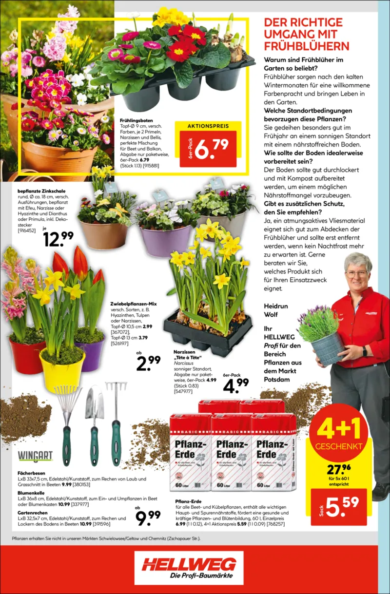 Hellweg Prospekt vom 23.02.2026, Seite 16