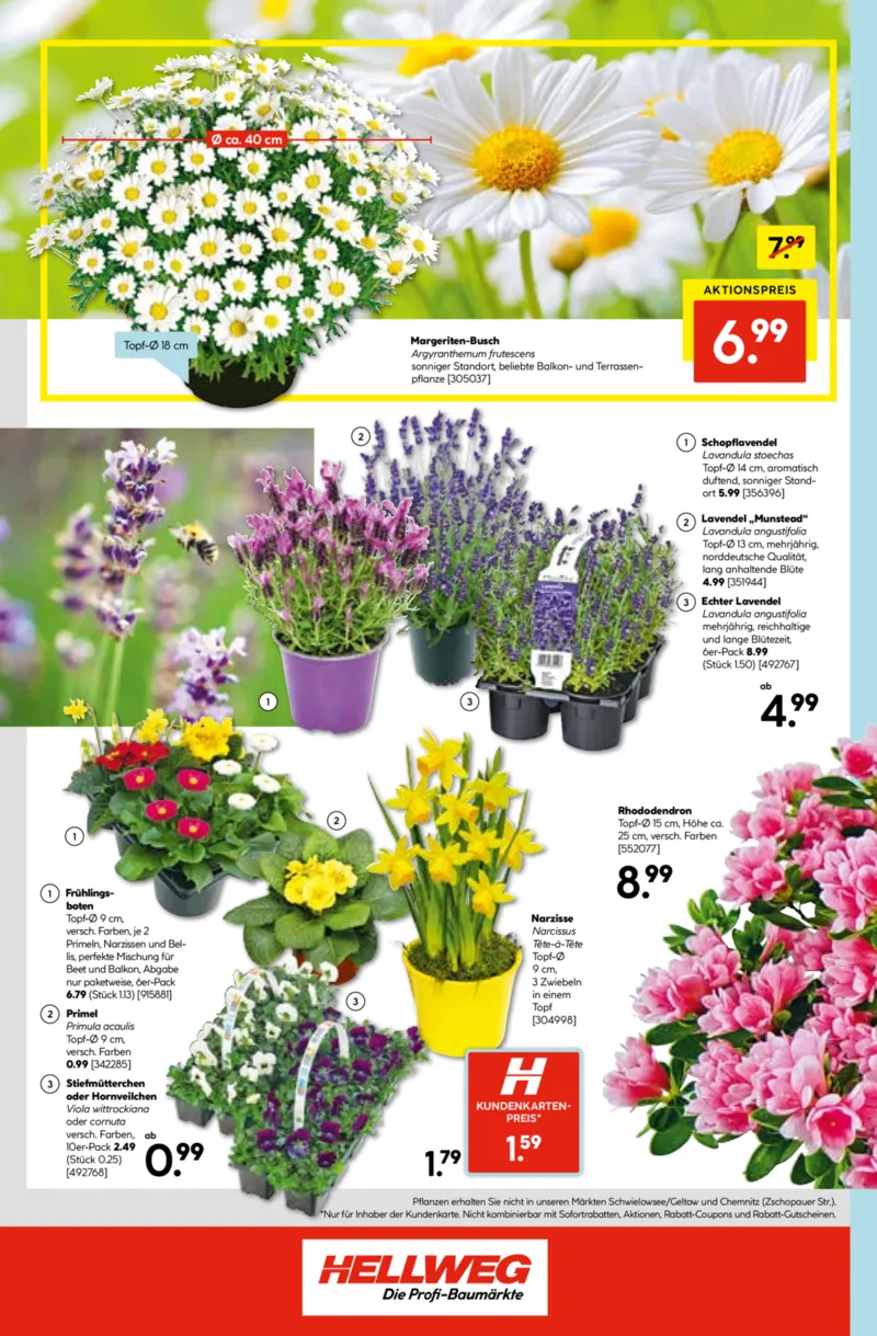 Hellweg Prospekt vom 09.03.2026, Seite 16