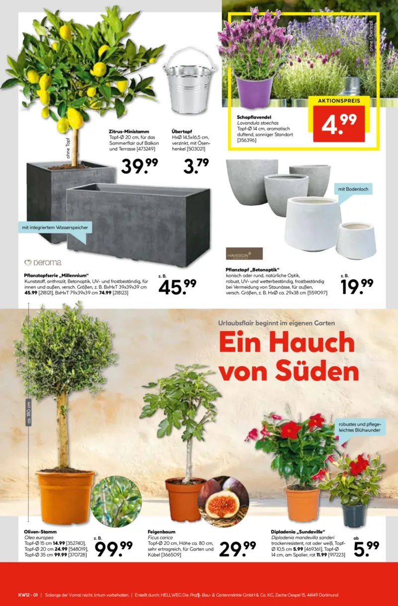 Hellweg Prospekt vom 16.03.2026, Seite 17