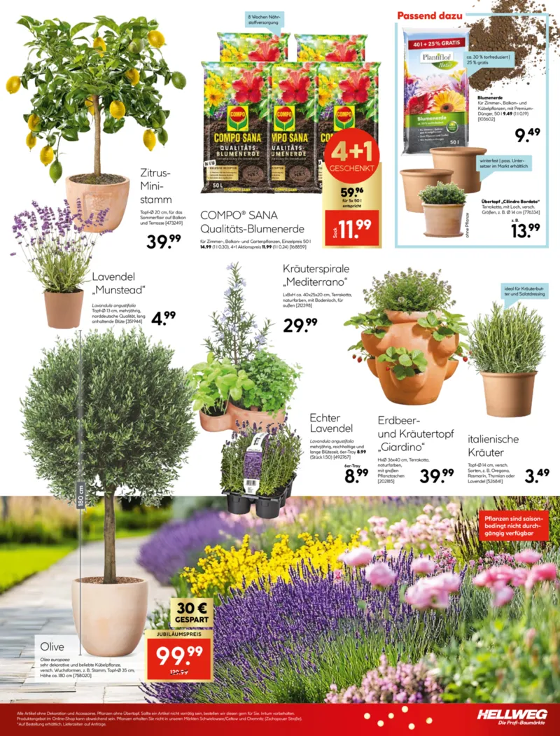 Hellweg Prospekt vom 30.03.2026, Seite 29