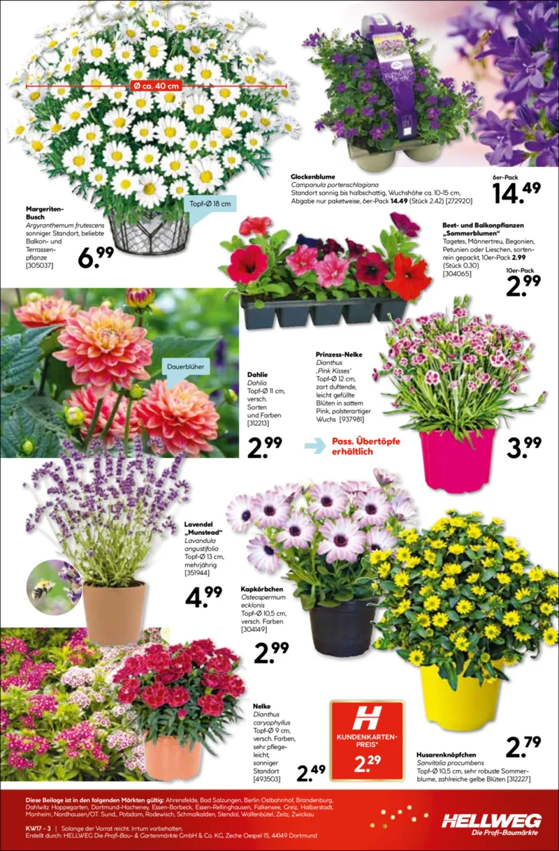 Hellweg Prospekt vom 20.04.2026, Seite 19