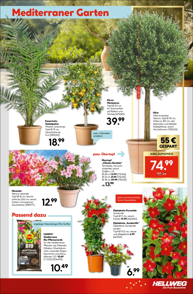 Hellweg Prospekt vom 27.04.2026, Seite 21