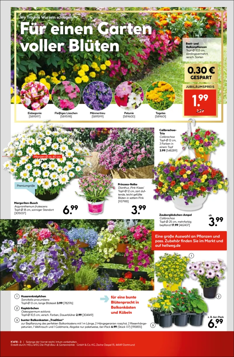 Hellweg Prospekt vom 27.04.2026, Seite 23