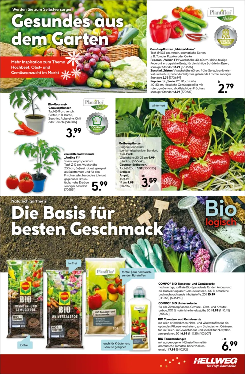 Hellweg Prospekt vom 11.05.2026, Seite 17