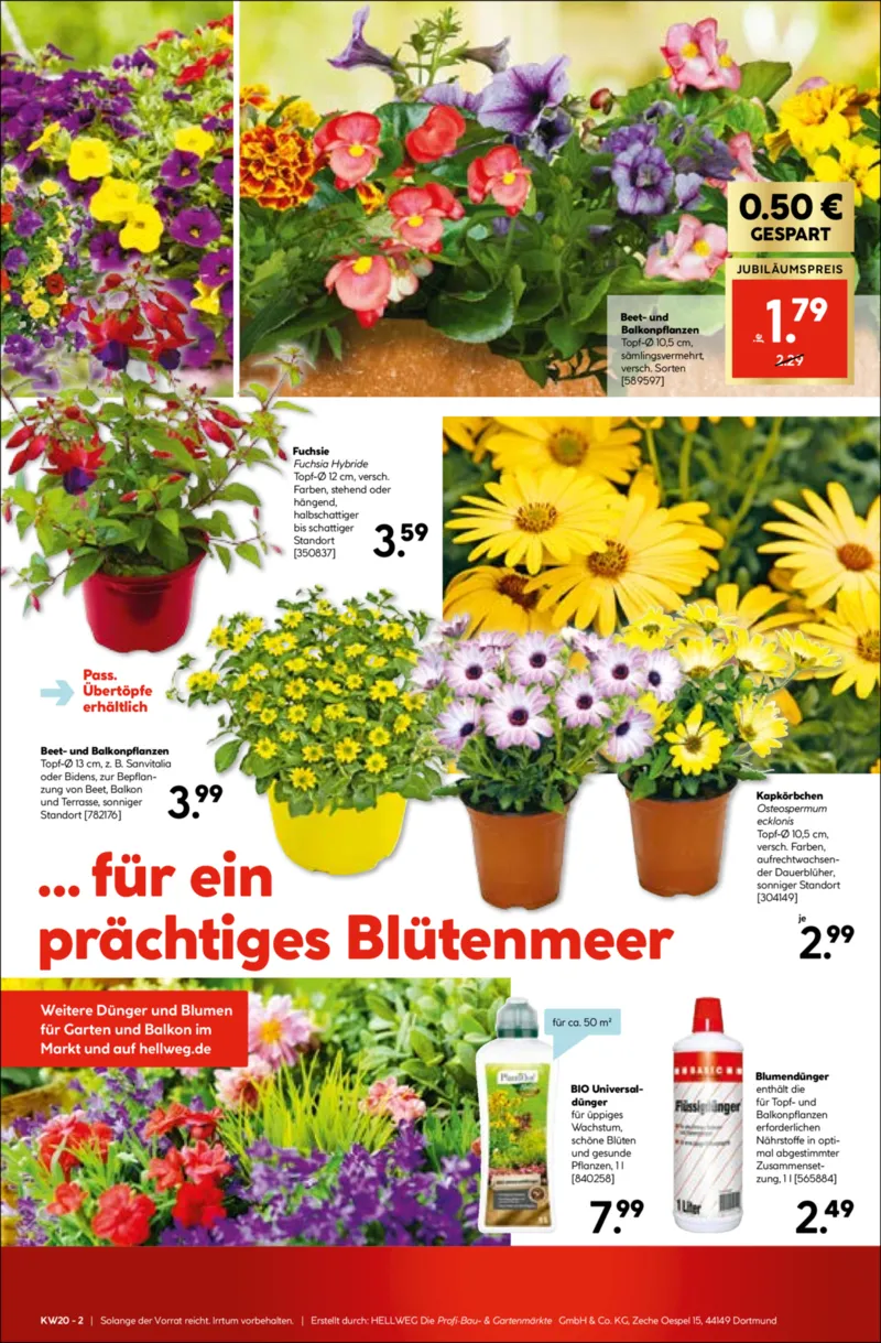 Hellweg Prospekt vom 11.05.2026, Seite 19