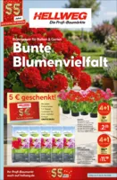 Hellweg Prospekt vom 11.05.2026
