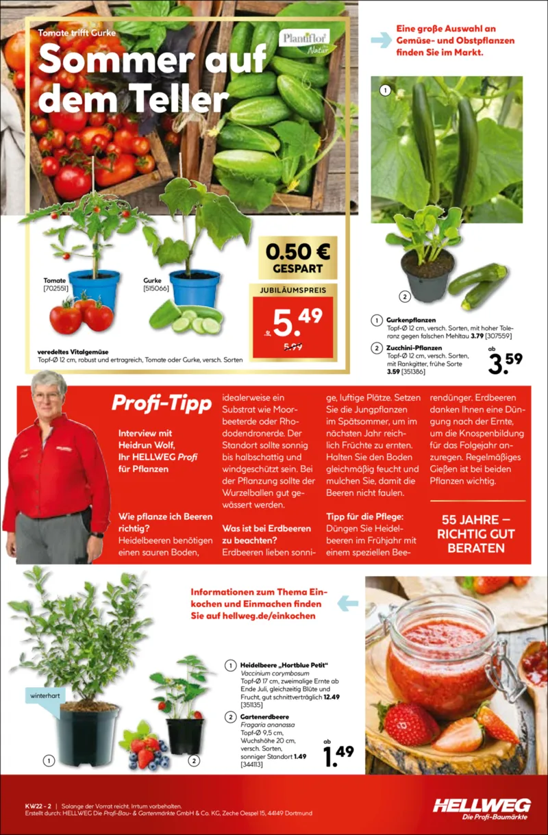 Hellweg Prospekt vom 26.05.2026, Seite 19