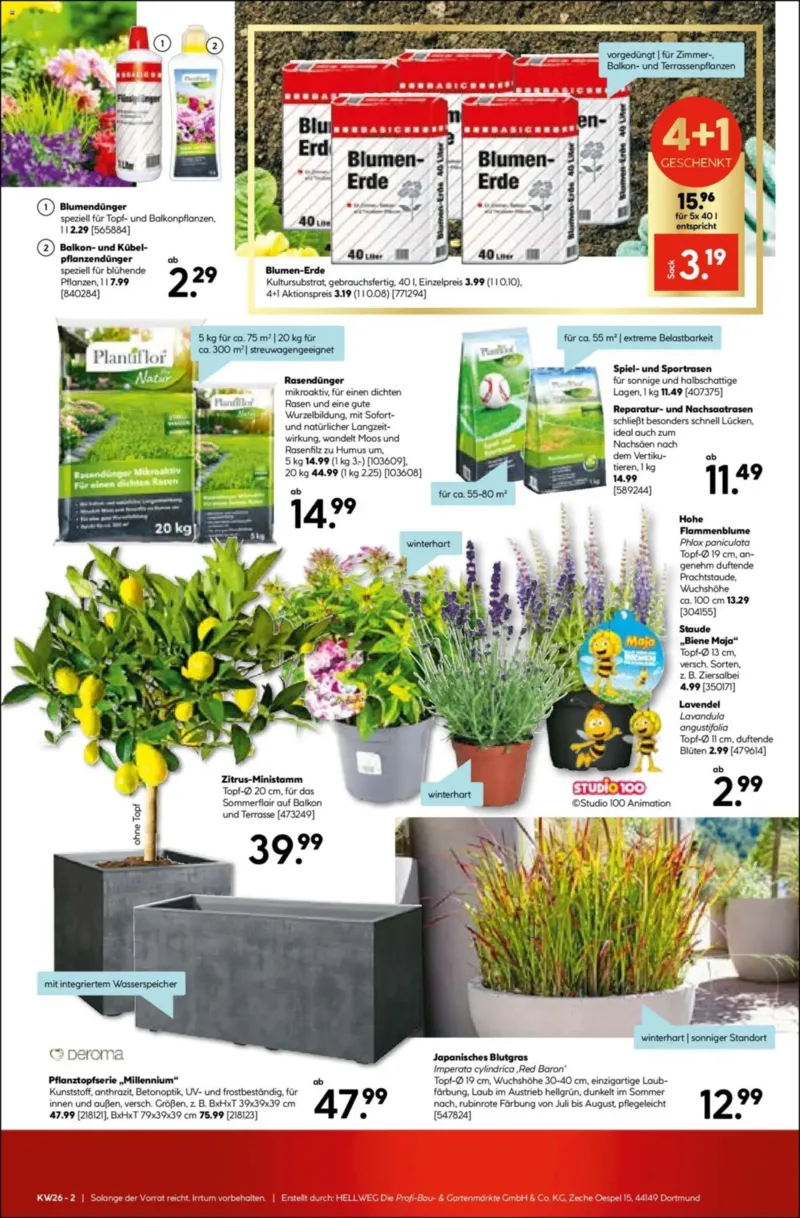 Hellweg Prospekt vom 22.06.2026, Seite 13