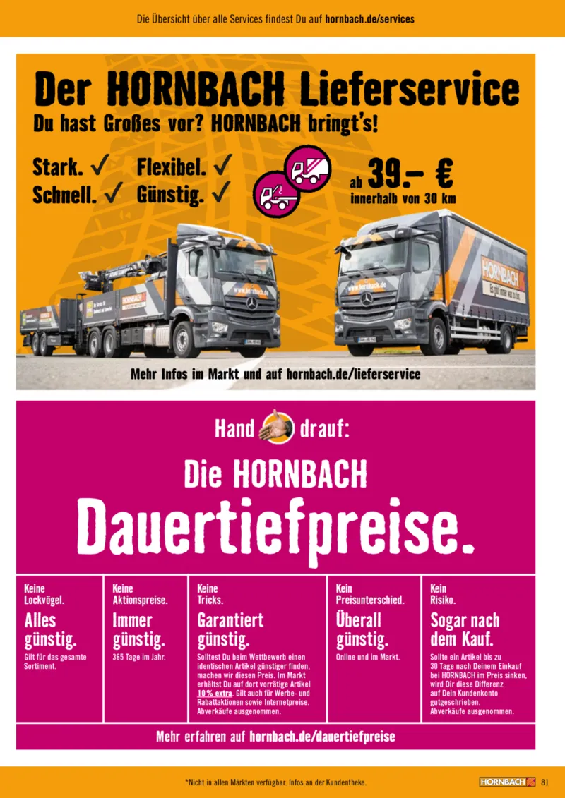 Hornbach Prospekt vom 01.01.2025, Seite 81
