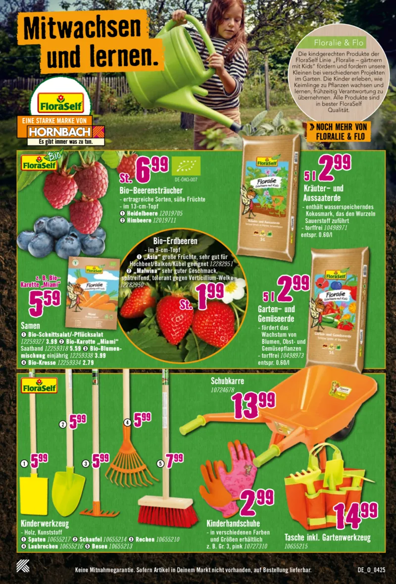 Hornbach Prospekt vom 10.04.2025, Seite 5