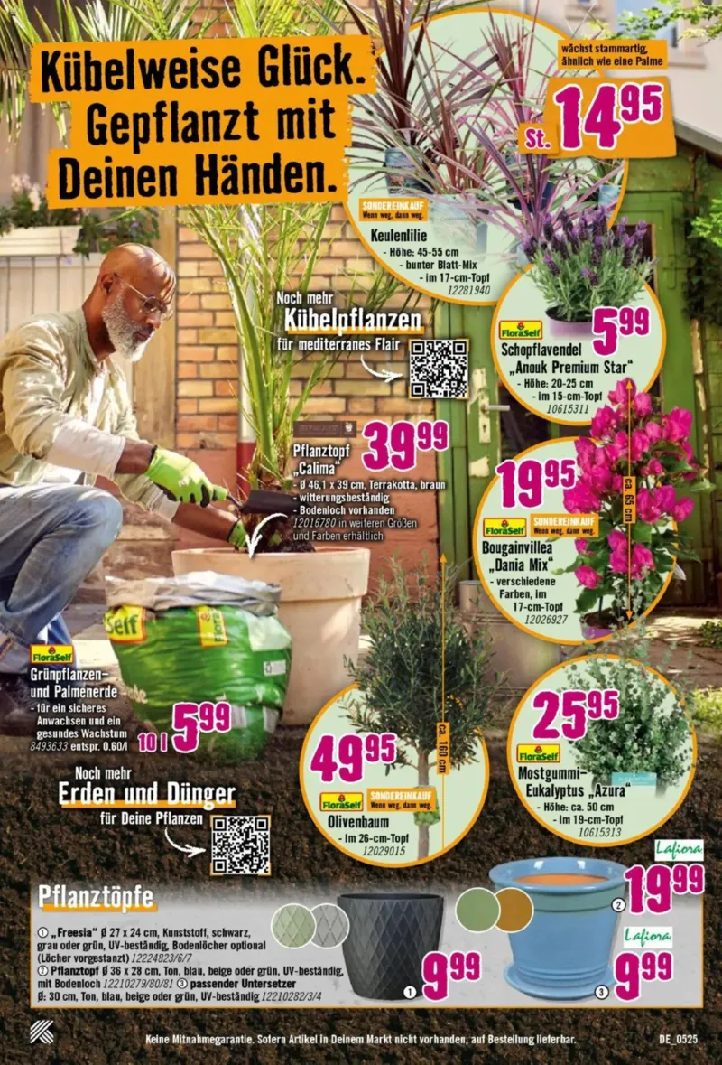 Hornbach Prospekt vom 08.05.2025, Seite 11