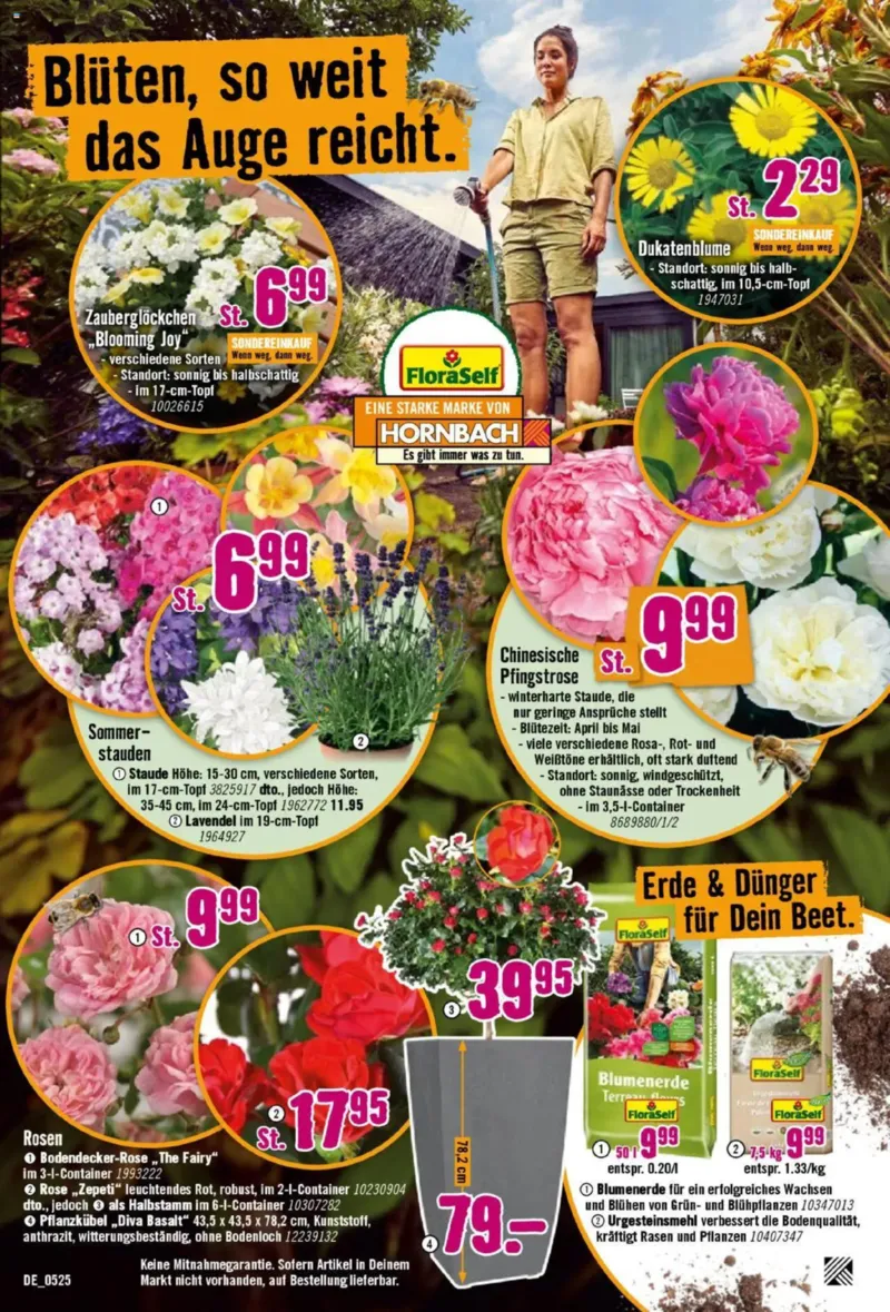 Hornbach Prospekt vom 08.05.2025, Seite 12
