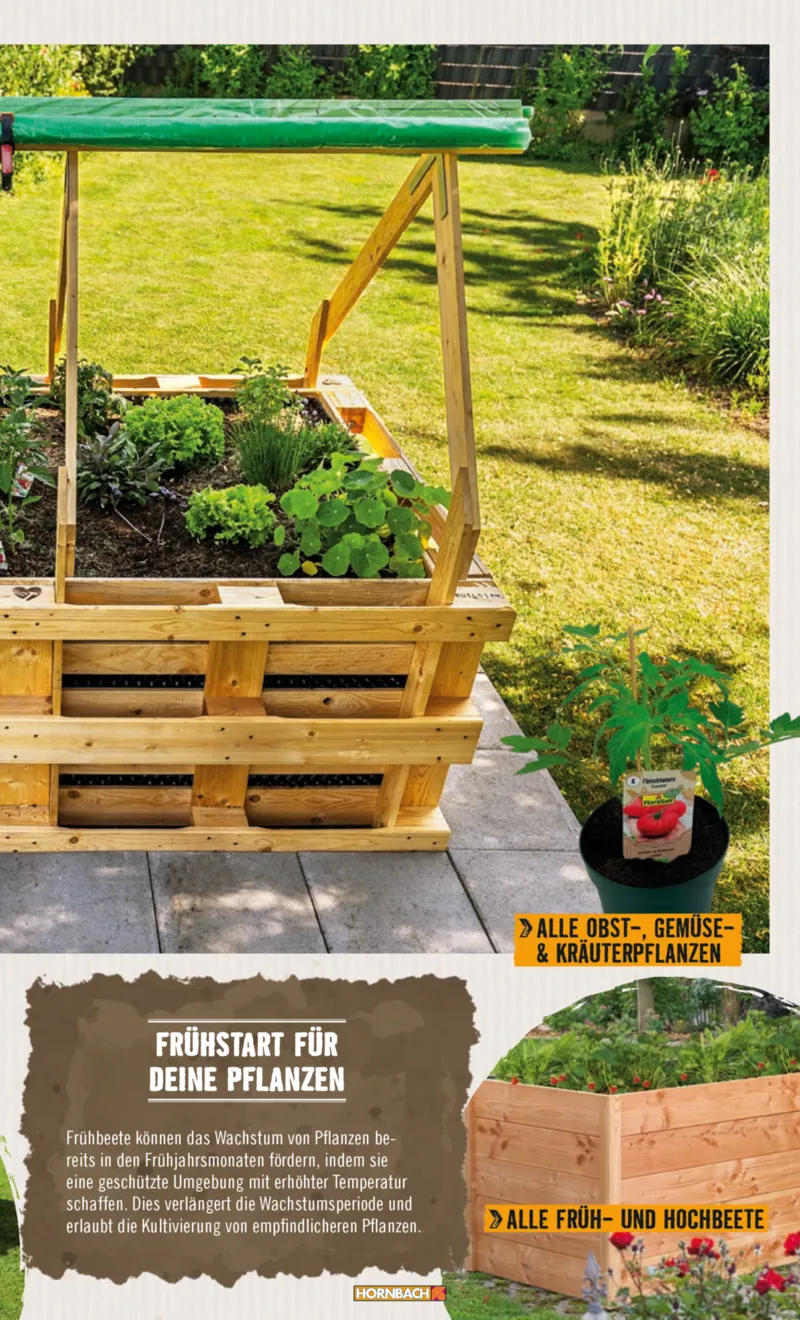 Hornbach Prospekt vom 10.06.2025, Seite 11