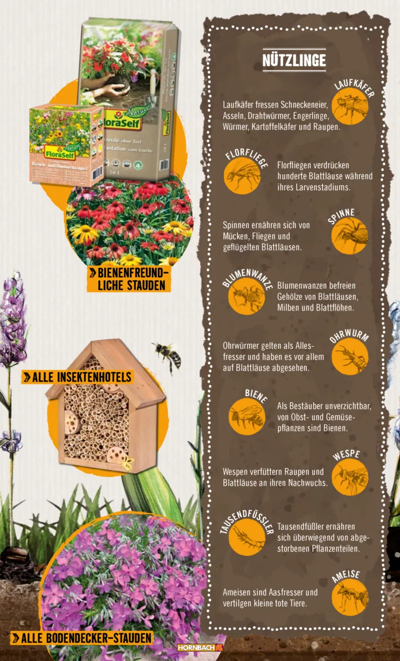 Hornbach Prospekt vom 10.06.2025, Seite 15