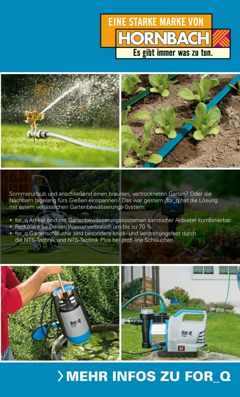 Hornbach Prospekt vom 10.06.2025, Seite 19