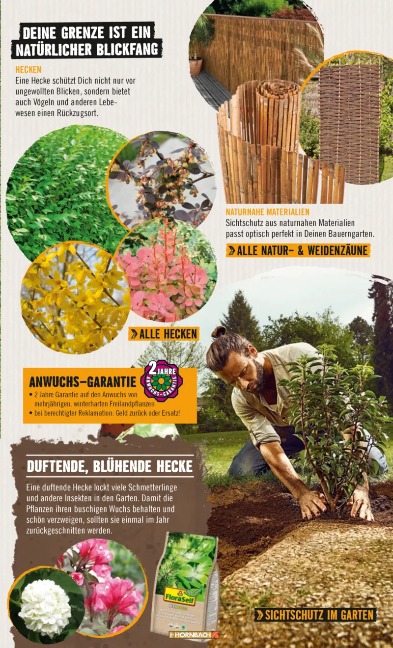 Hornbach Prospekt vom 10.06.2025, Seite 21