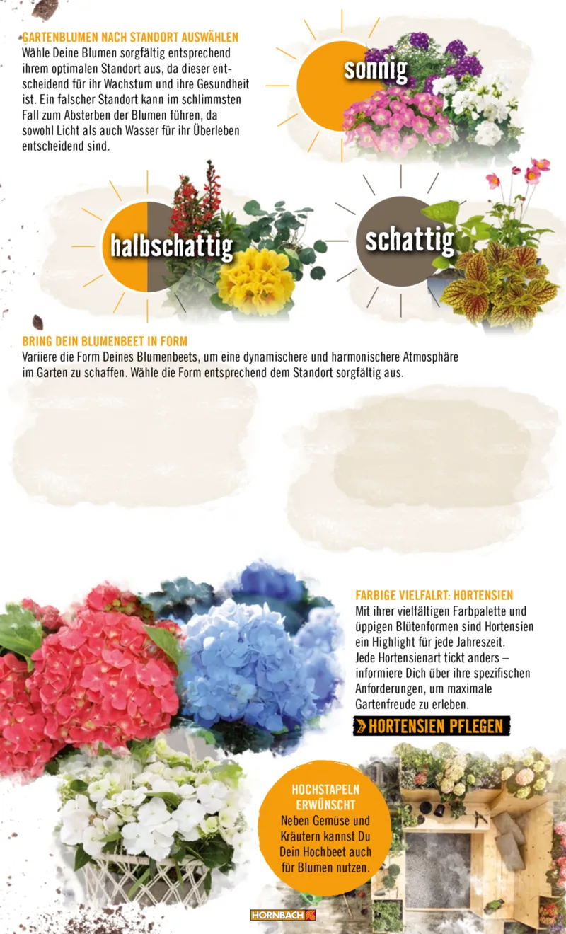 Hornbach Prospekt vom 10.06.2025, Seite 25