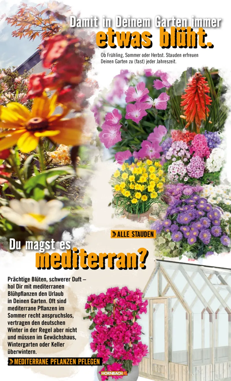 Hornbach Prospekt vom 10.06.2025, Seite 27