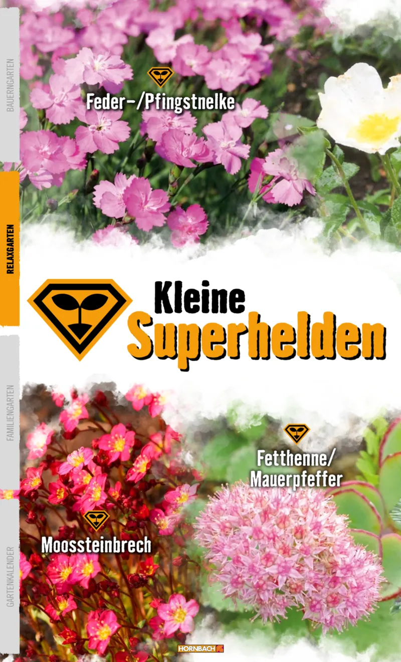 Hornbach Prospekt vom 10.06.2025, Seite 28