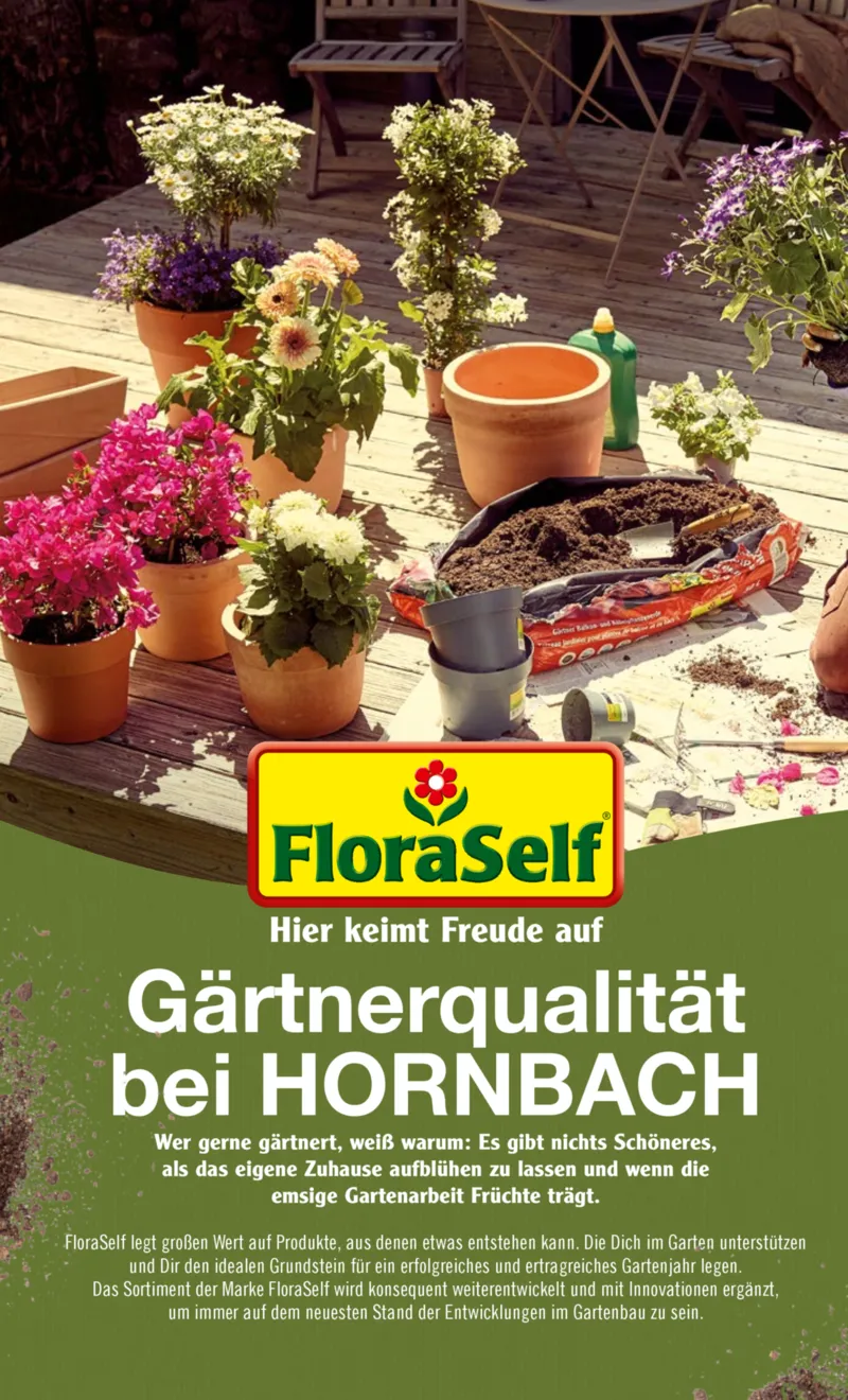 Hornbach Prospekt vom 10.06.2025, Seite 30