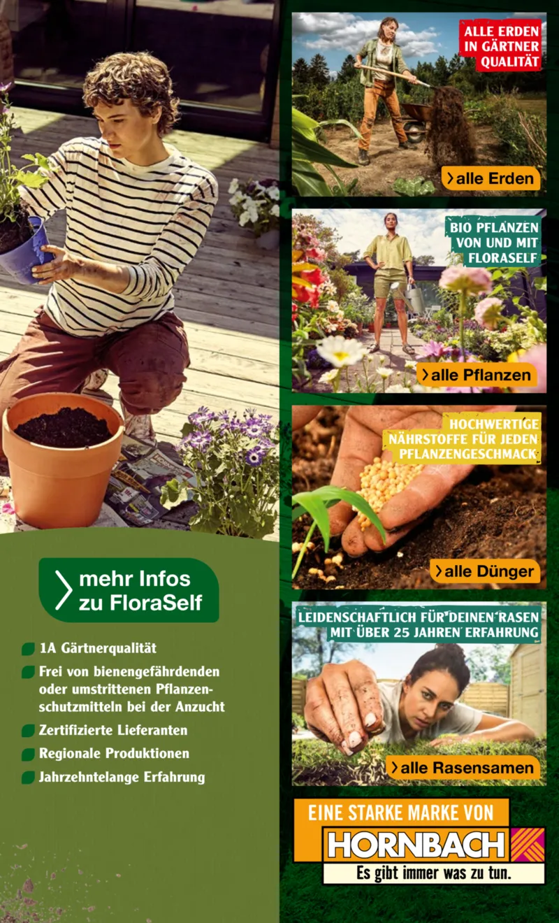 Hornbach Prospekt vom 10.06.2025, Seite 31