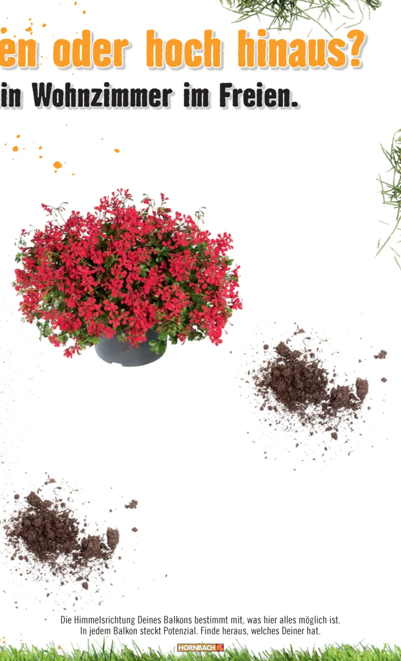 Hornbach Prospekt vom 10.06.2025, Seite 33