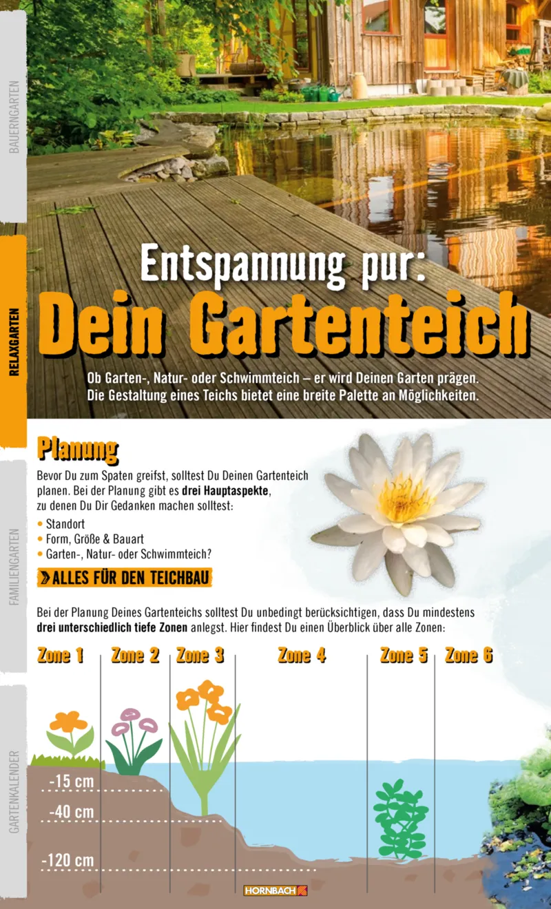 Hornbach Prospekt vom 10.06.2025, Seite 38