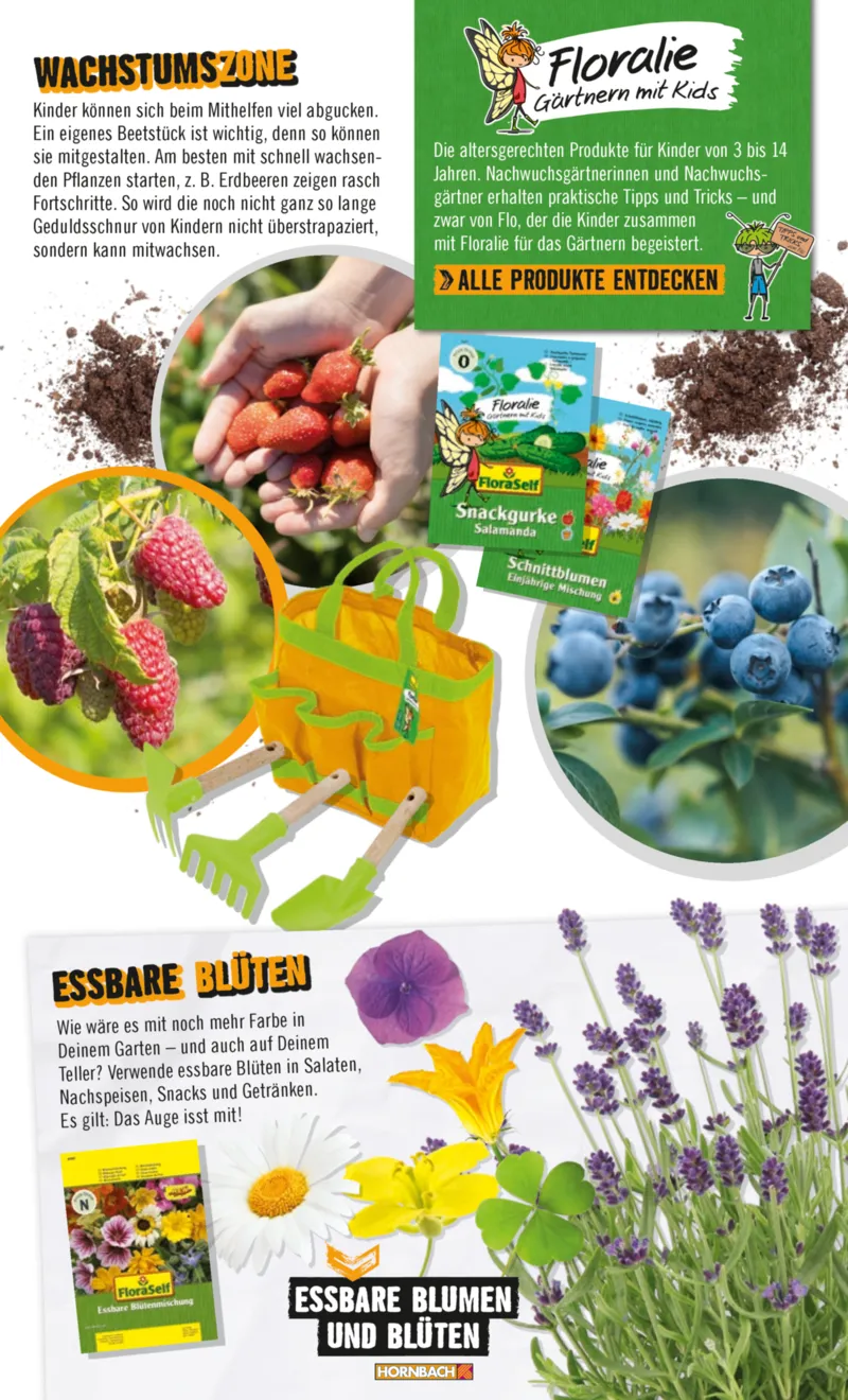 Hornbach Prospekt vom 10.06.2025, Seite 45