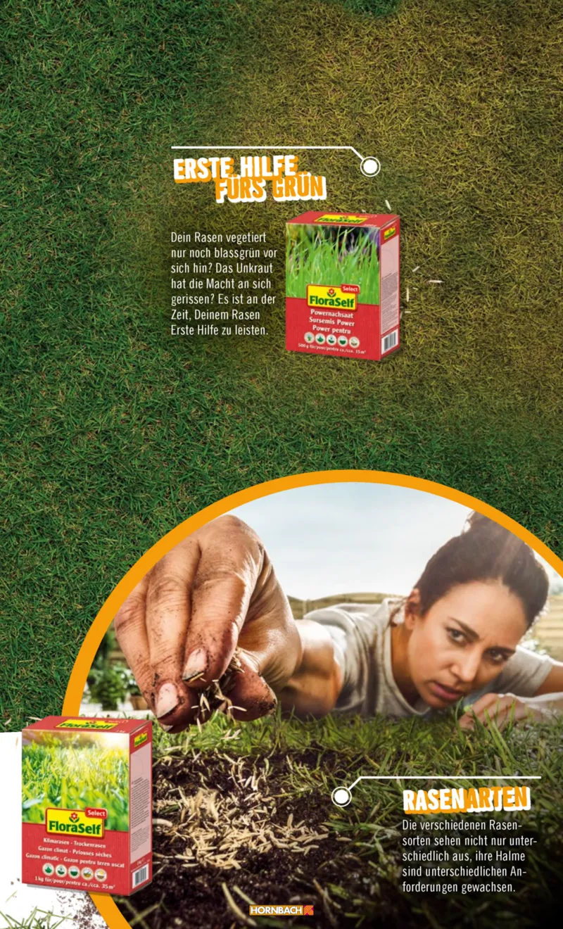 Hornbach Prospekt vom 10.06.2025, Seite 49