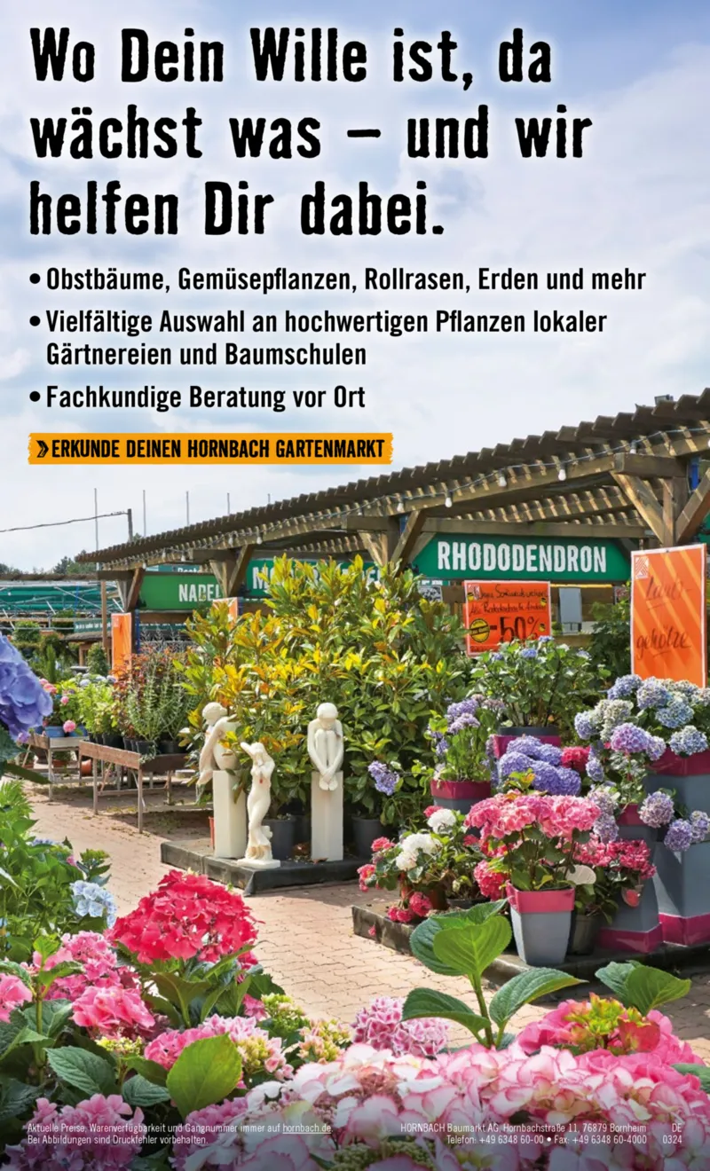 Hornbach Prospekt vom 10.06.2025, Seite 56