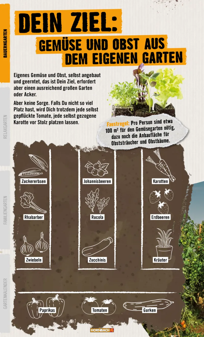 Hornbach Prospekt vom 10.06.2025, Seite 6